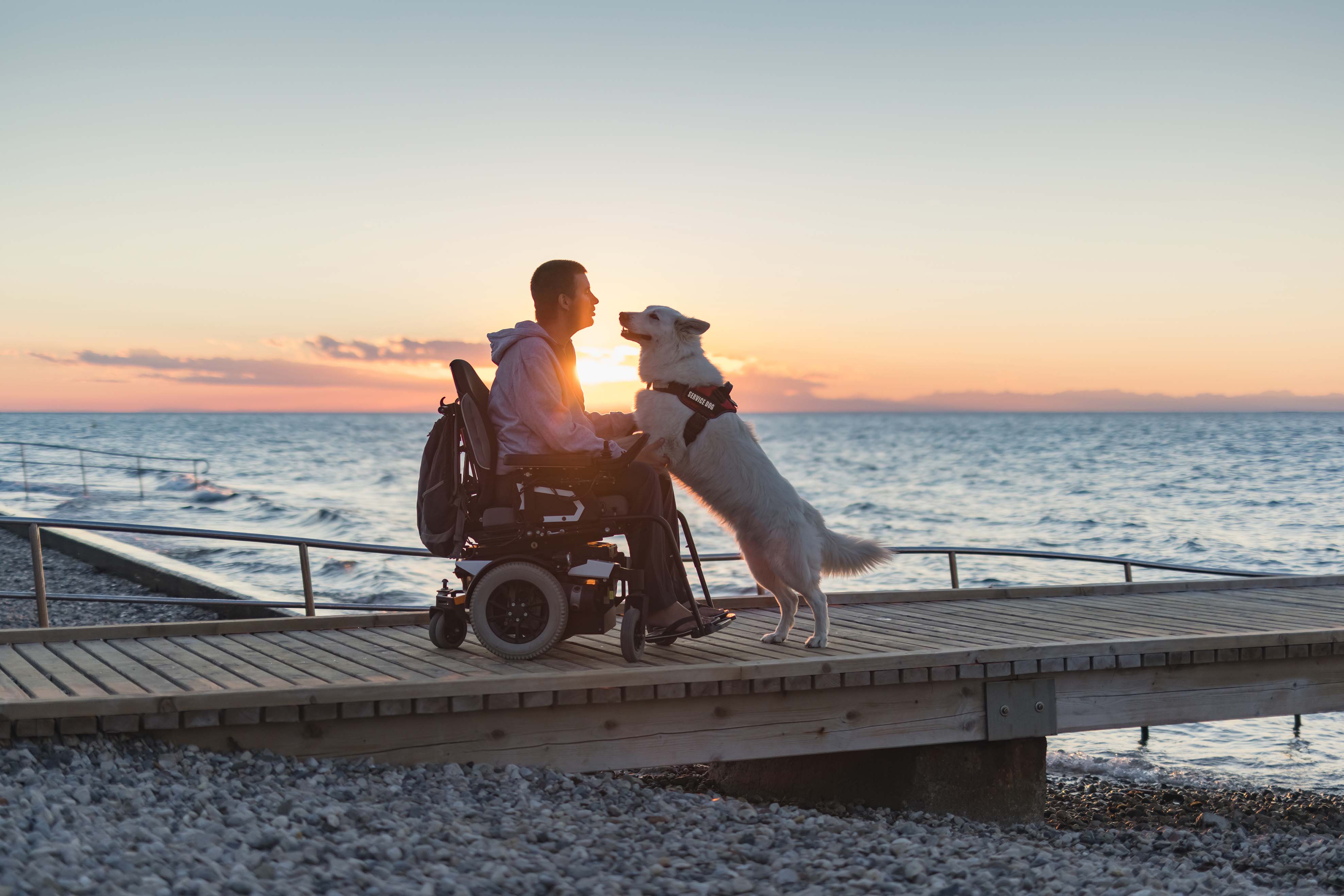Man with disability with his service dog at sunset using electric wheelchair at the edge of the ocean.